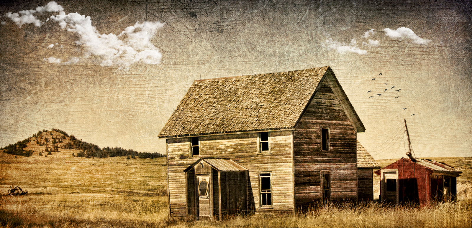 ranč, Dům, textura, Photoshop, Kánon, Nebraska, osamělost, antický, textury, pláně, pustý, suchý, texturedlayers, texturedlayer, canoneosdigitalrebelxsi, jackaloha2, photoshopcs5