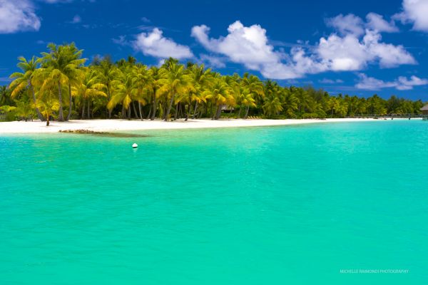 sea,bay,shore,beach,coast,palm trees