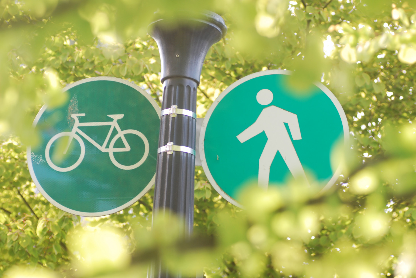 zelená, Příroda, podepsat, Vancouver, jaro, Nikon, bokeh, seawall, Tamron, coalharbour, tamron90mm, nikond60, littlekiss