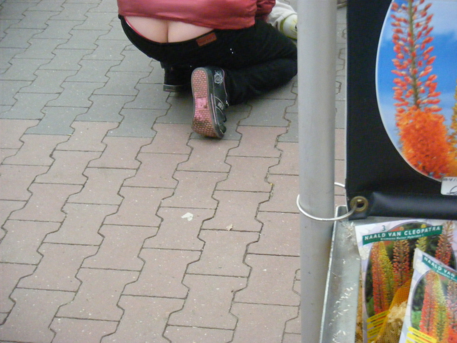 osel, UMĚNÍ, crack, patro, podlaha, dno, podlaha, povrch vozovky, buttcrack, cofrinho