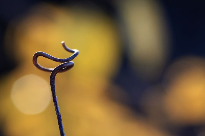 zonlicht,macro,reflectie,fotografie,geel,blauw