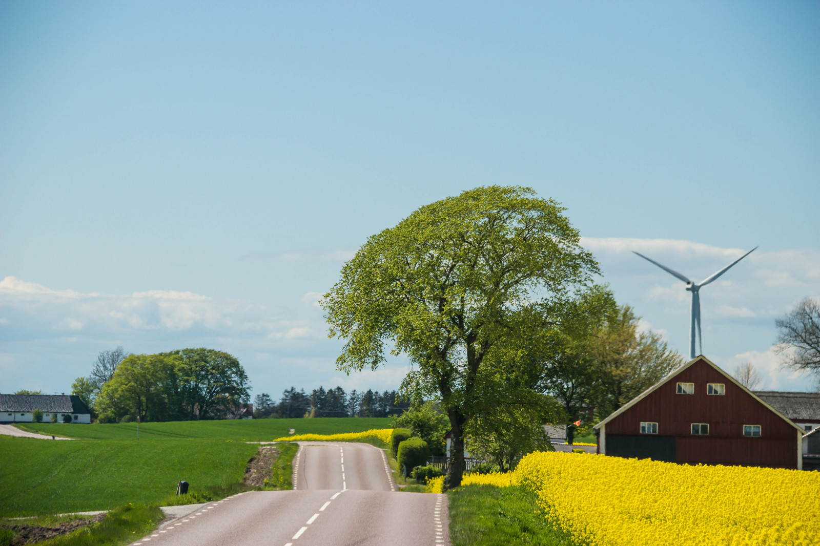 krajina, kopec, tráva, nebe, pole, silnice, zelená, hospodařit, vítr, mrak, strom, květ, rostlina, sk ne, venkov, nárazy, f lt, landskap, řepka, rapefield, VAG, zemědělství, louka, trávník, venkov, dřevina