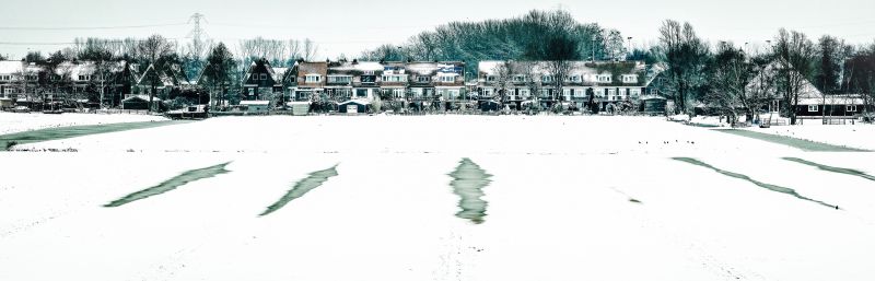 sníh, zima, strom, zmrazení, obytný prostor, předměstí