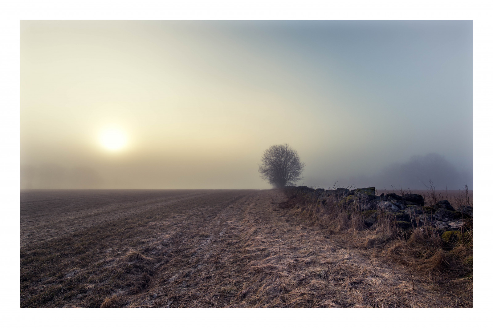 slunečnímu záření, krajina, nebe, pole, silnice, svítání, ráno, mlha, horizont, atmosféra, Nikon, Švédsko, opar, MM, Sverige, strom, F28, mlhavý, Tamron, mlha, svítání, D810, dimma, Skog, soluppg ng, morgon, 28, sp, ekoregion, 1530, 150300, Tamronsp1530mmf28, Tamronsp1530mmf28divcusd, Tamronsp1530mmf28diusd, Tamronsp1530mmf28usd, Tamronsp1530mmf28vc, Tamron1530mmf28, Ubbhult, stock photography