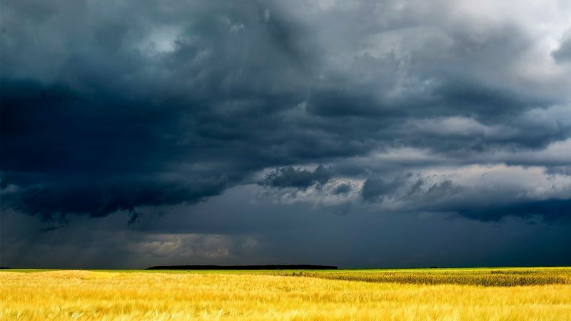 landscape, nature, sky, field, storm, wind landscape, nature, sky, field, storm, wind