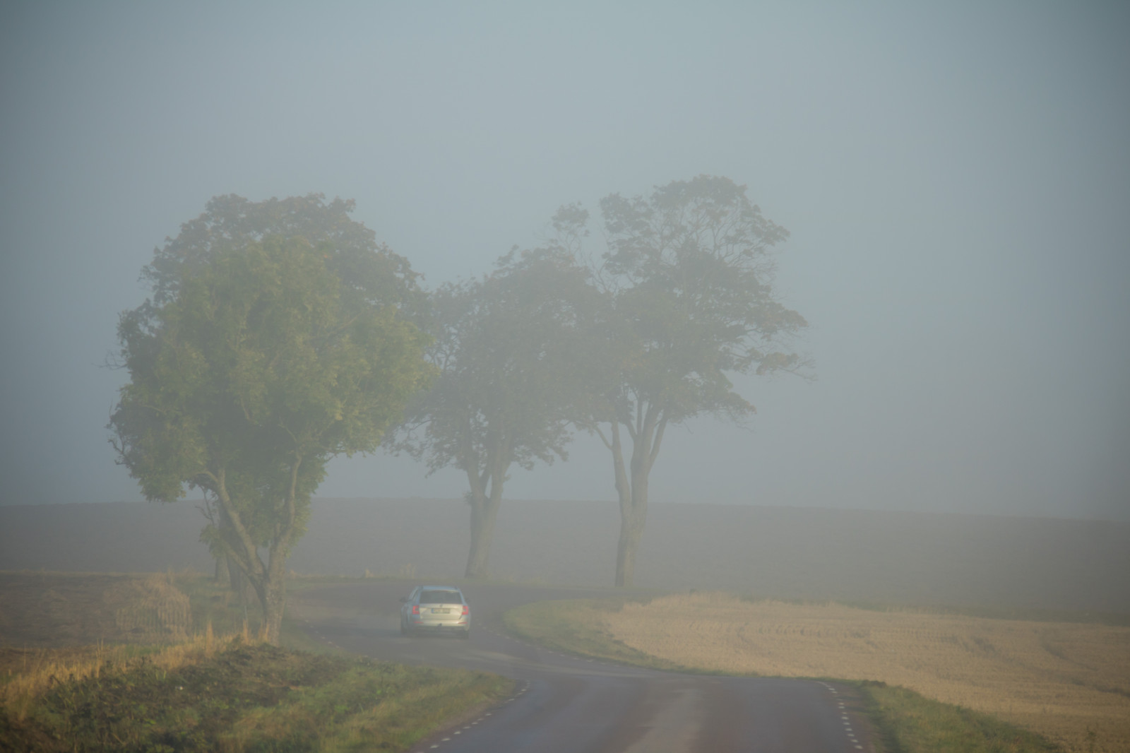 krajina, kopec, silnice, ráno, mlha, horizont, atmosféra, prach, opar, mrak, strom, mlha, počasí, svítání, tr d, dimma, venkov, soluppg ng, landskap, gryning, exif modelu canoneos760d, geocountry, Kamera aby kánon, geocity, Model fotoaparátu canoneos760d, geostate, geolocation, EXIF čočka efs18200mmf3556is, EXIF otvor 56, exif aby kánon, EXIF isospeed 125, exif focallength 155mm, VAG, siunrise, prostý, atmosférický jev, mrholení