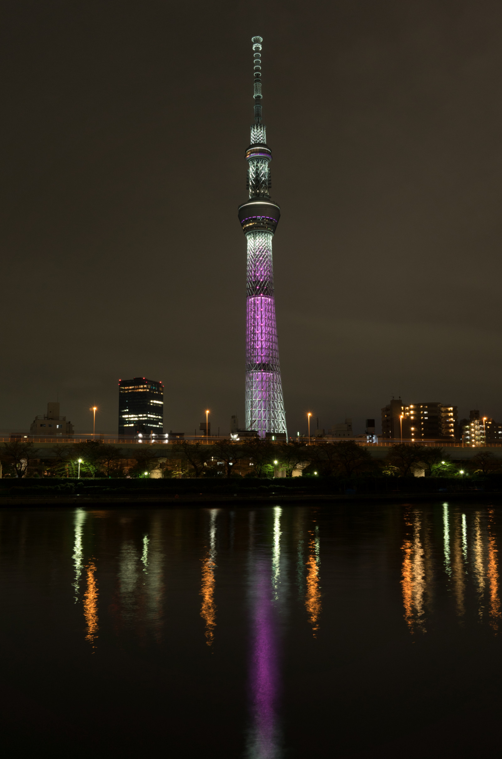 Japan, city, cityscape, night, architecture, reflection, skyline, skyscraper, evening, tower, horizon, dusk, Leica, metropolis, Tokyo, Jp, Skytree, light, cloud, cloudy, illuminated, illumination, CC, darkness, t, landmark, tokyoskytree, leicat, summicron, creativecommons, summicron235, 235, pinkribbon, atmosphere of earth, human settlement