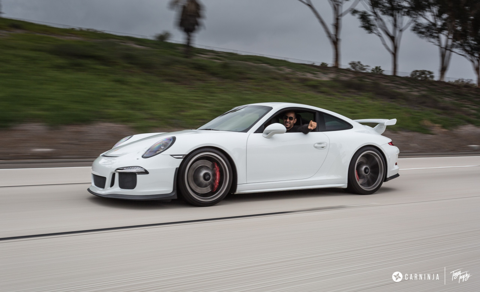 carninja, strada, Basso, auto