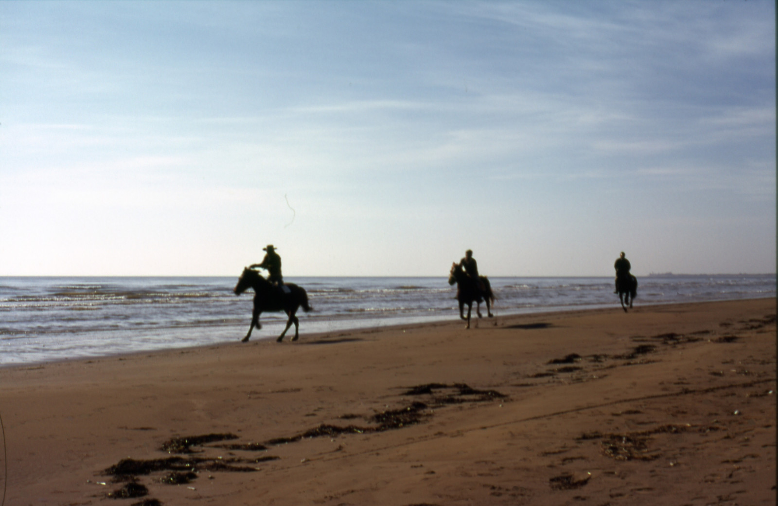 Refleks, Nikon, Italia, hoppe, Kodak, klit, glide, f, 50mmf20, 1975, NIKKOR, nikkorh, nikonf, cavalli, spiaggia, diapositiva, Lignano, Friuli, sabbia, 25asa, FTN, photomic, scannerizzata, lignanosabbiadoro, codachrome, nikonfphotomicftn, nikkor50mmf20, marioghezzi