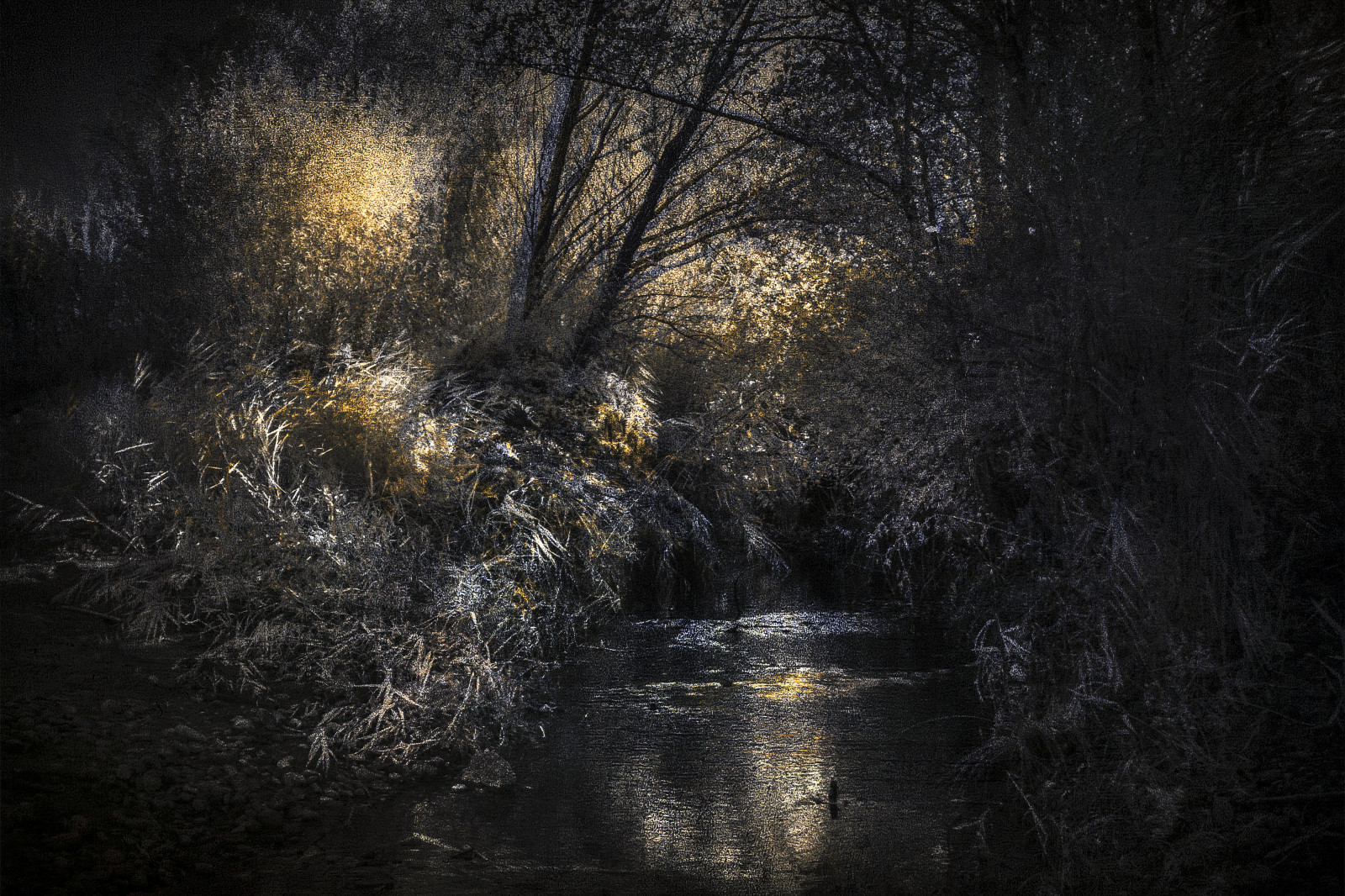 slunečnímu záření, krajina, světla, les, noc, Příroda, odraz, větev, textura, Infračervený, světlo, strom, podzim, list, tma, 108, acqua, alberi, luci, atmosférický jev, počítač tapeta, alessandra, allaperto, alessandracasini108, alessandracasini, Casini