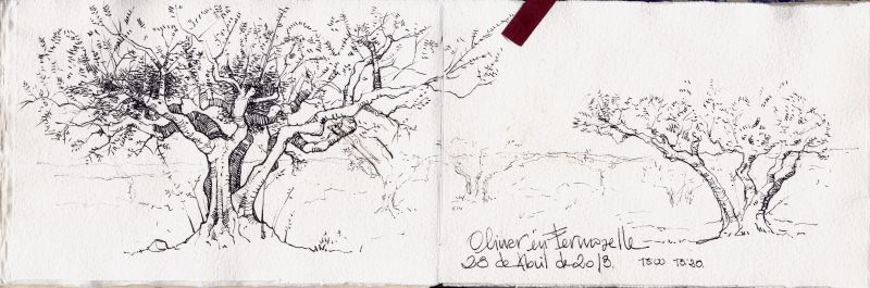 drawing, ART, black and white, sketch, tree, branch drawing, ART, black and white, sketch, tree, branch