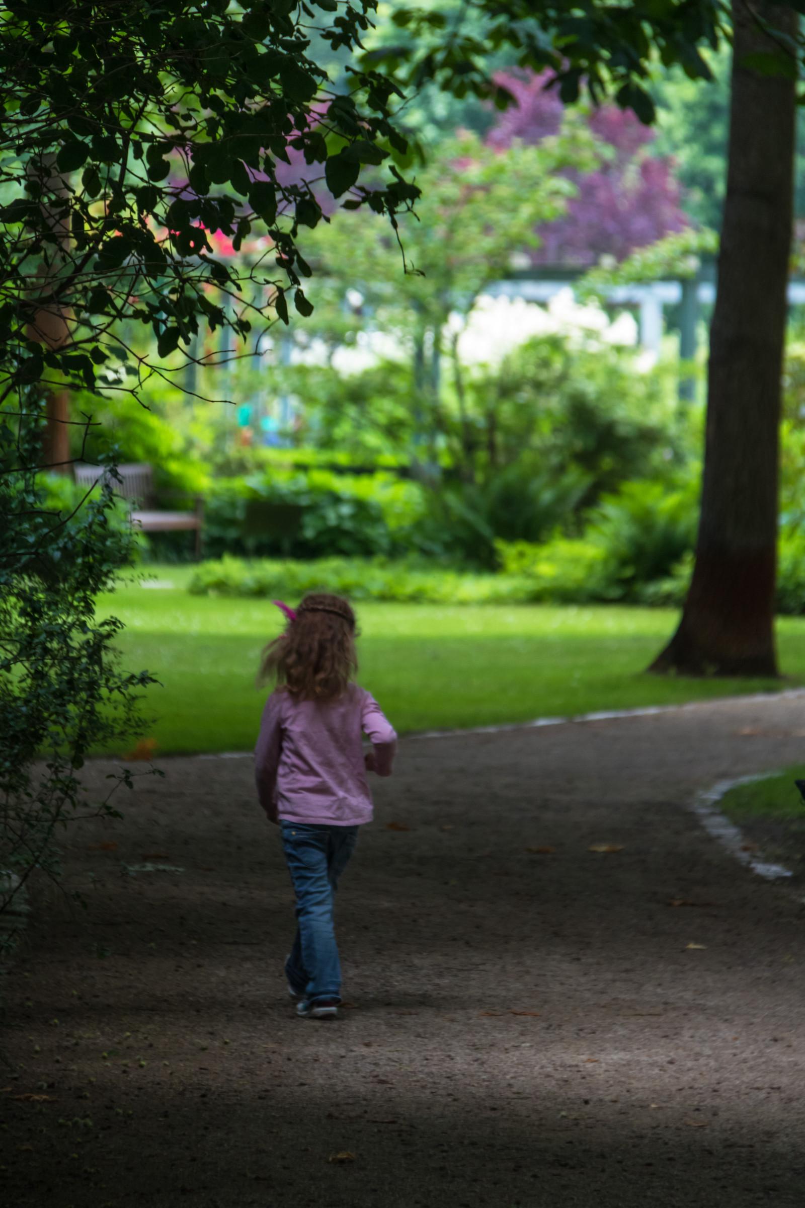 slunečnímu záření, lidé, zahrada, Příroda, tráva, park, zelená, ráno, Německo, jaro, Berlín, strom, podzim, list, květ, sezóna, m nniska, tr dg rd, Německo, deutschland, gardensoftheworld, g rtenderwelt, exif modelu canoneos760d, geocountry, Kamera aby kánon, geocity, Model fotoaparátu canoneos760d, geostate, geolocation, EXIF čočka efs18200mmf3556is, EXIF otvor 56, exif aby kánon, exif focallength 150mm, exif isospeed 800, dererholungsparkmarzahn, trávník, zálesí, dřevina
