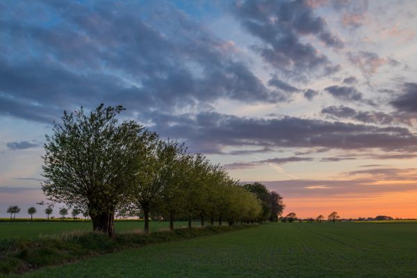 sunset,sky,cloud,field,landscape,countryside