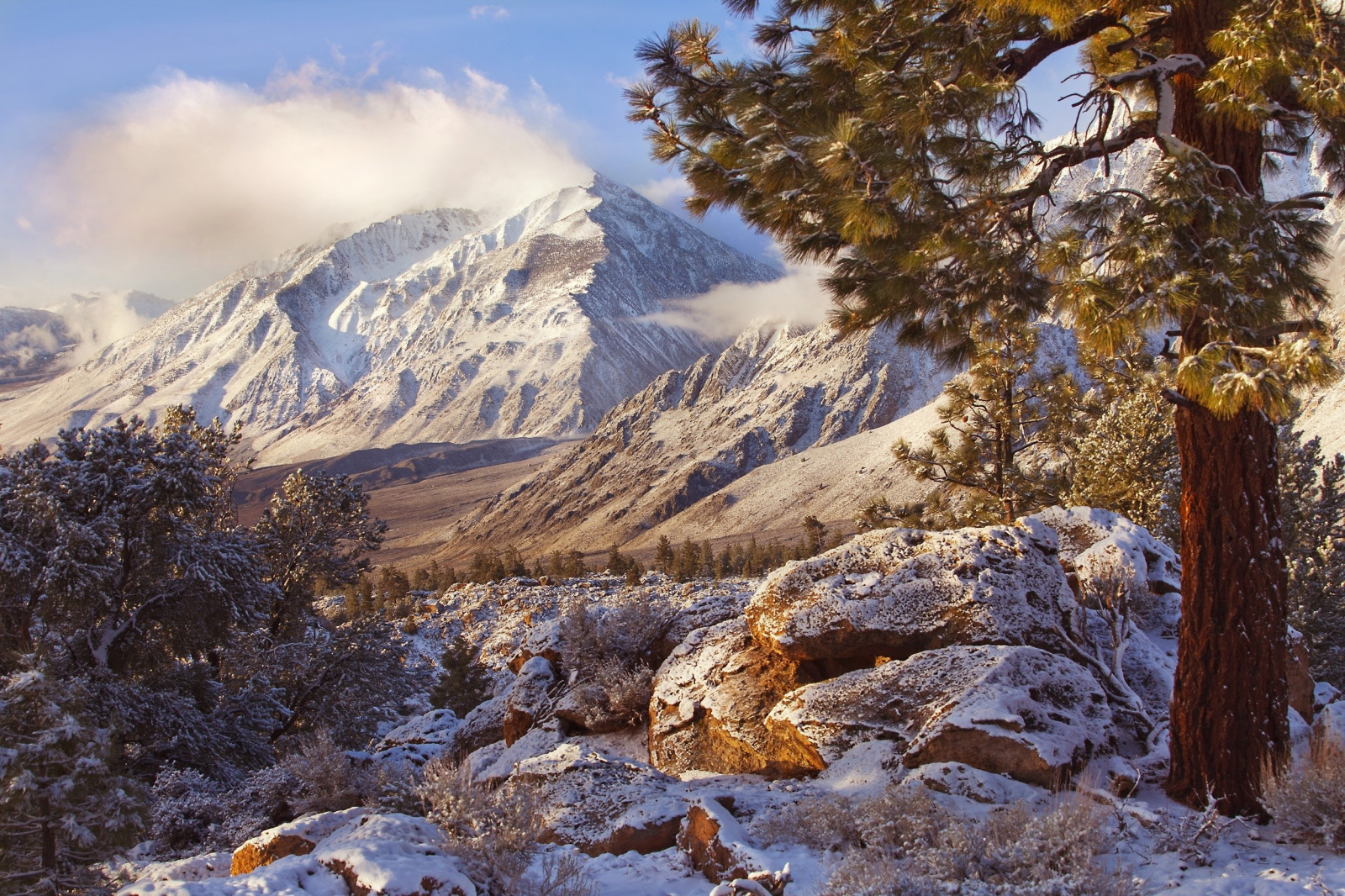slunečnímu záření, stromy, krajina, hory, Příroda, sníh, zima, Studený, ráno, Kalifornie, křoví, údolí, divočina, Alpy, vrcholek, hřbet, strom, podzim, hora, počasí, sezóna, horských reliéf, landform, geografický rys, pohoří