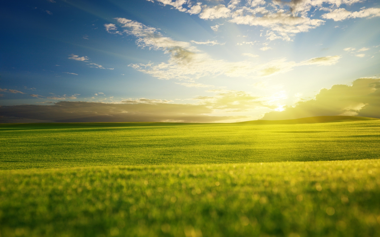 Wallpaper : field, Sun, clouds, dawn 2560x1600 - goodfon - 677450 - HD ...