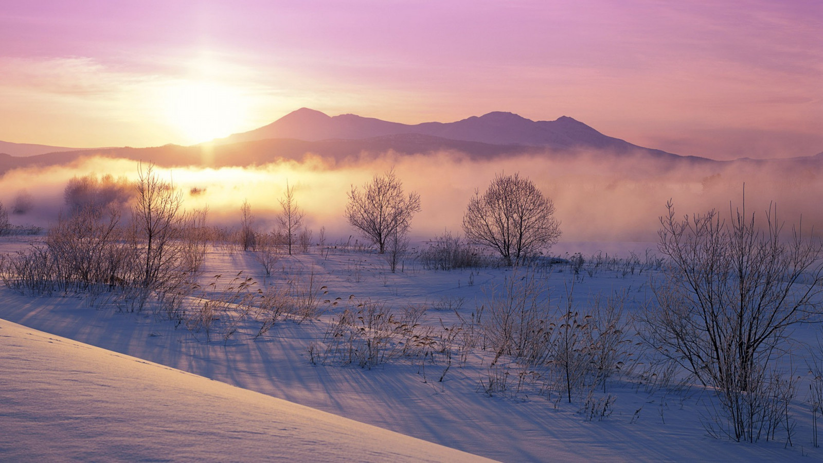sollys, landskab, solnedgang, bakke, sø, natur, afspejling, sne, vinter, solopgang, is, kold, aften, morgen, tåge, frost, Sol, atmosfære, buske, skumring, Fryser, Sky, bjerg, vejr, daggry, sæson, 1920x1080 px, loch, atmosfærisk fænomen