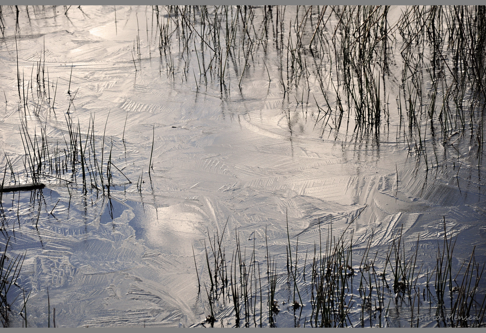 výkres, voda, odraz, sníh, zima, led, mráz, 2015, zmrazení, strom, počasí, sezóna, skica, drenthe, coth, atmosférický jev, IJS, januari, Emmen, angelslo