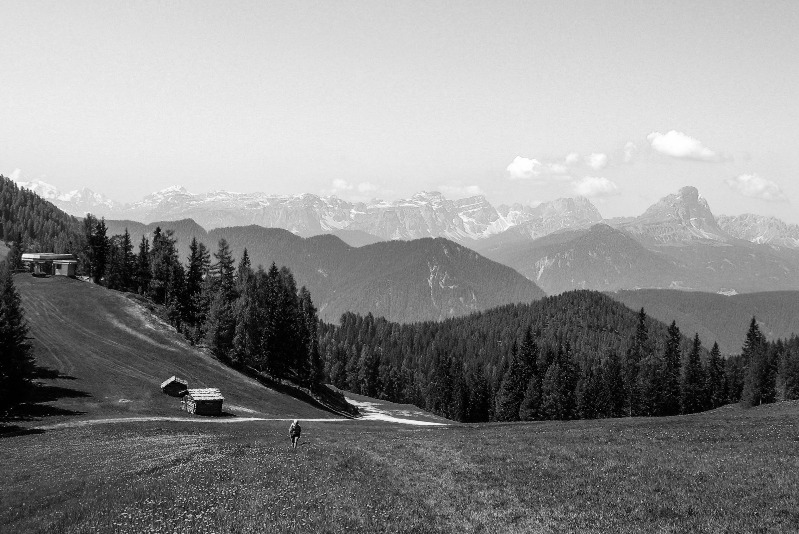 Landschaft, Wald, Weiß, einfarbig, Hügel, Natur, Gras, Himmel, Winter, Straße, Fotografie, Morgen, Horizont, Nationalpark, Bergpass, Wildnis, Autobahn, Alpen, Berglandschaft, Infrastruktur, Grat, Wolke, Baum, Berg, Pflanze, Bw, Schwarz-Weiss, Linie, Noiretblanc, Monocromo, Biancoenero, Hochland, Schwarz und weiß, Monochrome fotografie, Holzige Pflanze, Bergige landforms, Gebirge, Bergstation, Ausflug, Bianconero, Nikonclubit, Valbadia