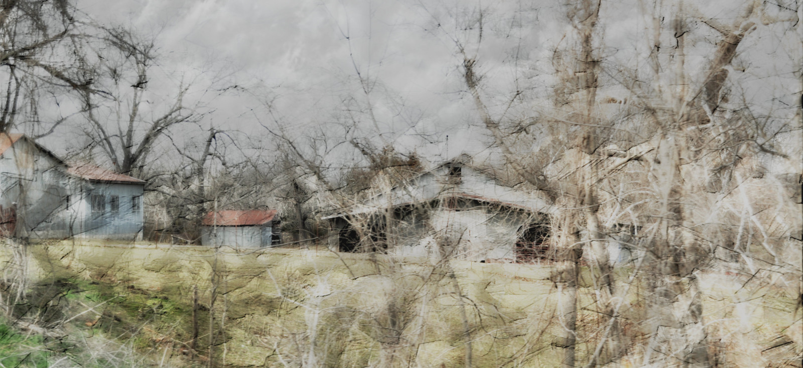 sne, vinter, væg, struktur, USA, Utah, KUNST, træ, sæson, digital, magiske, akvarel, rual