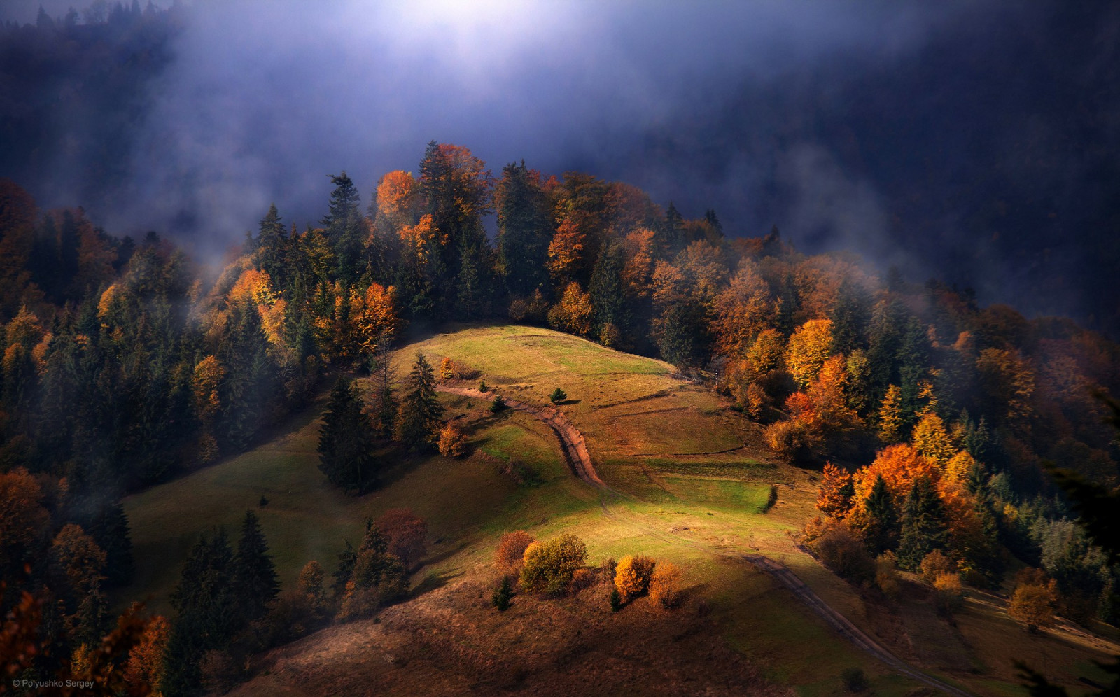 slunečnímu záření, stromy, krajina, les, Příroda, svítání, večer, ráno, mlha, údolí, divočina, blesk, mrak, strom, podzim, list, hora, svítání, sezóna, Snímek obrazovky, atmosférický jev, počítač tapeta, horských reliéf, geografický rys, pohoří