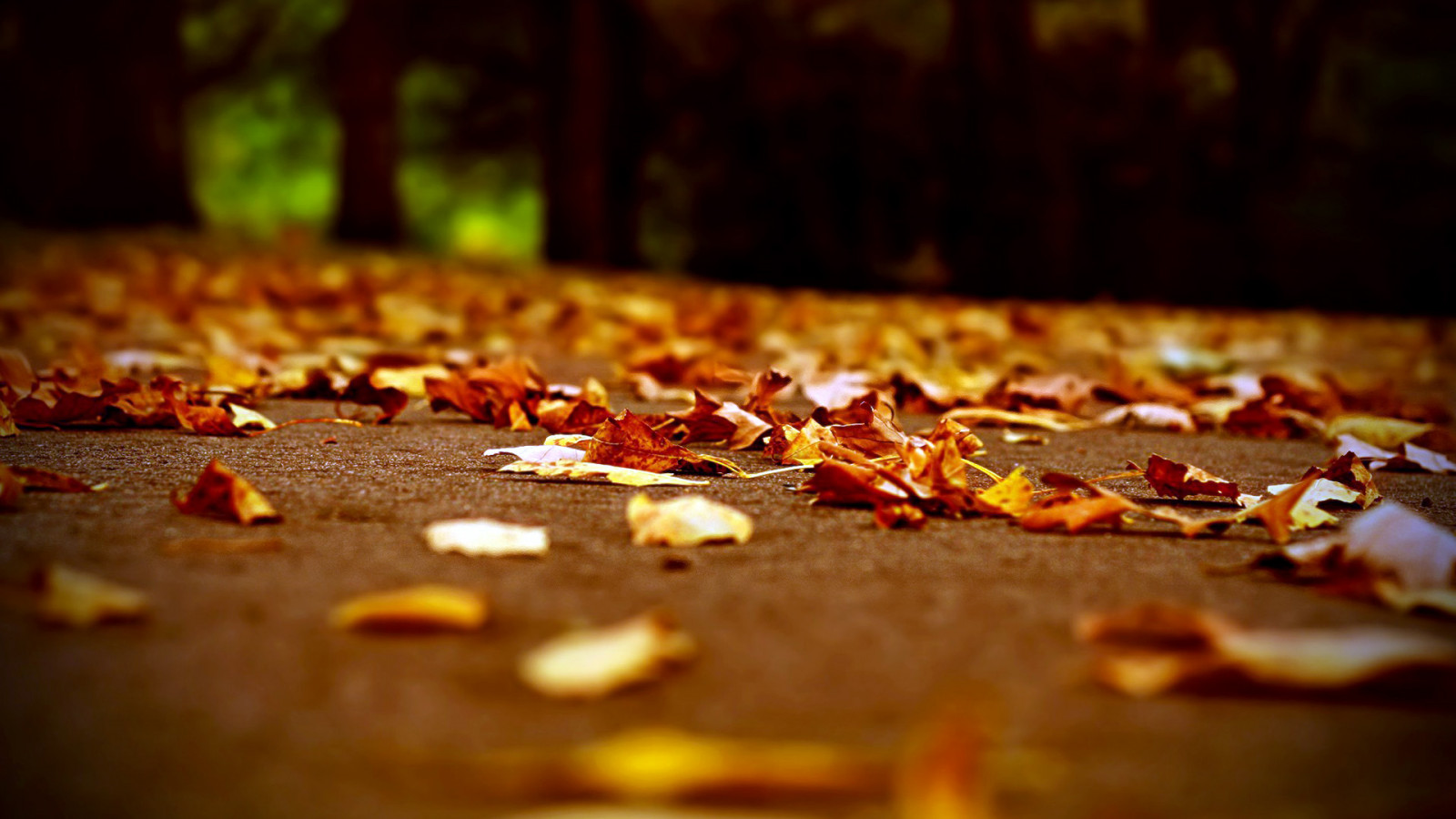 Wallpaper : 1920x1080 px 1920x1080 - goodfon - 806769 - HD Wallpapers ...