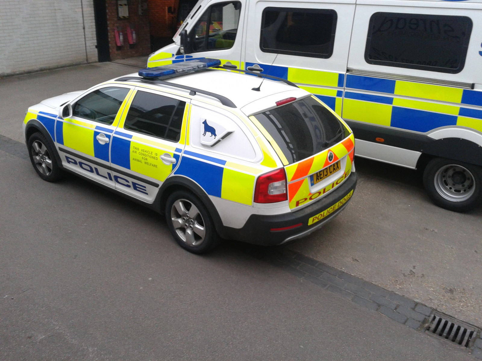 polizia, auto, veicolo, cane, Persona, Octavia, Skoda, esploratore, emergenza, ambulanza, tdi, cr, esterno automobilistico, marca di automobile, auto della polizia, professione, targa automobilistica, sezione, Cambridgeshire, veicolo di emergenza