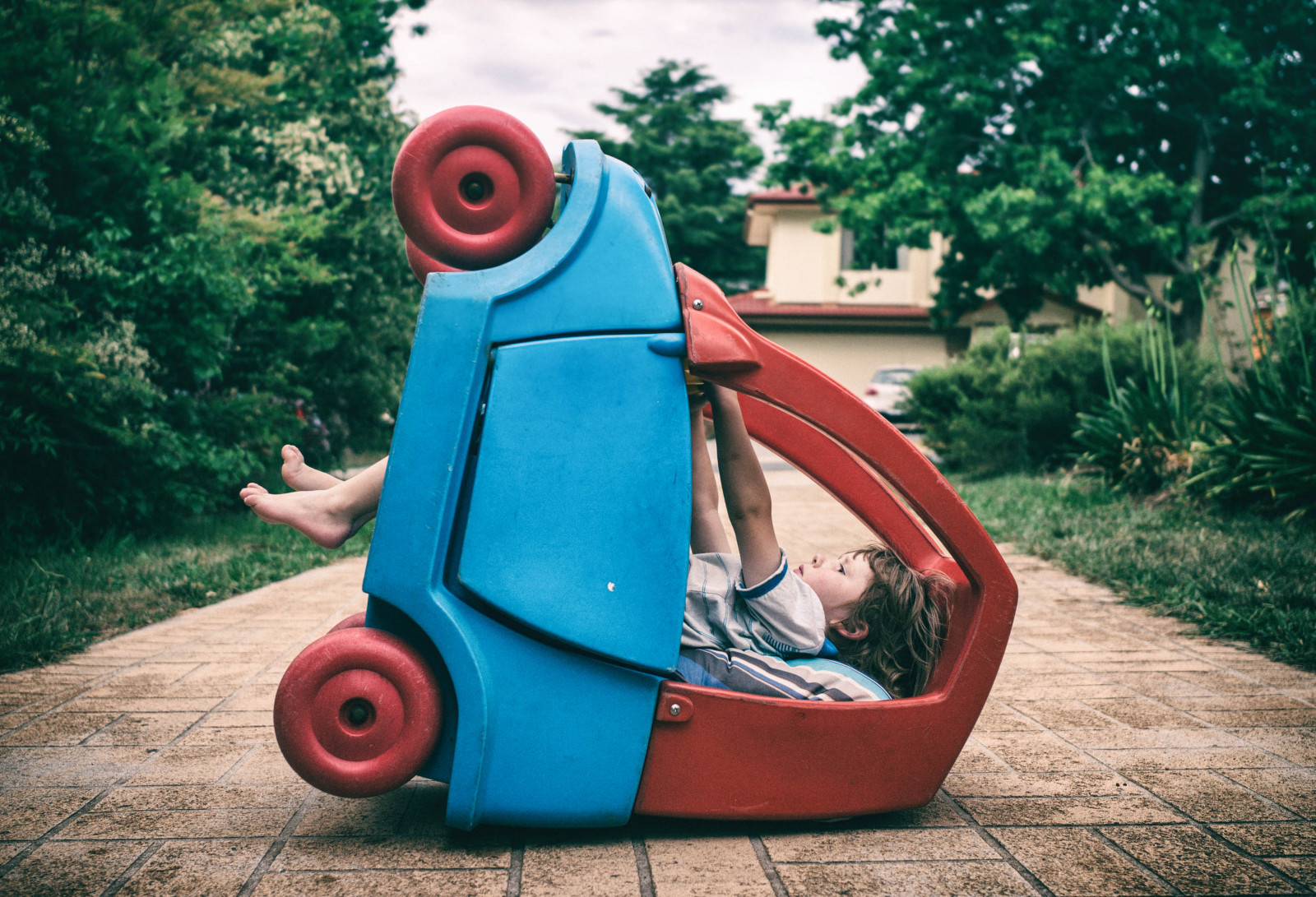 modrý, Červené, zábava, hrát si, produkt, tráva, vozidlo, volný čas