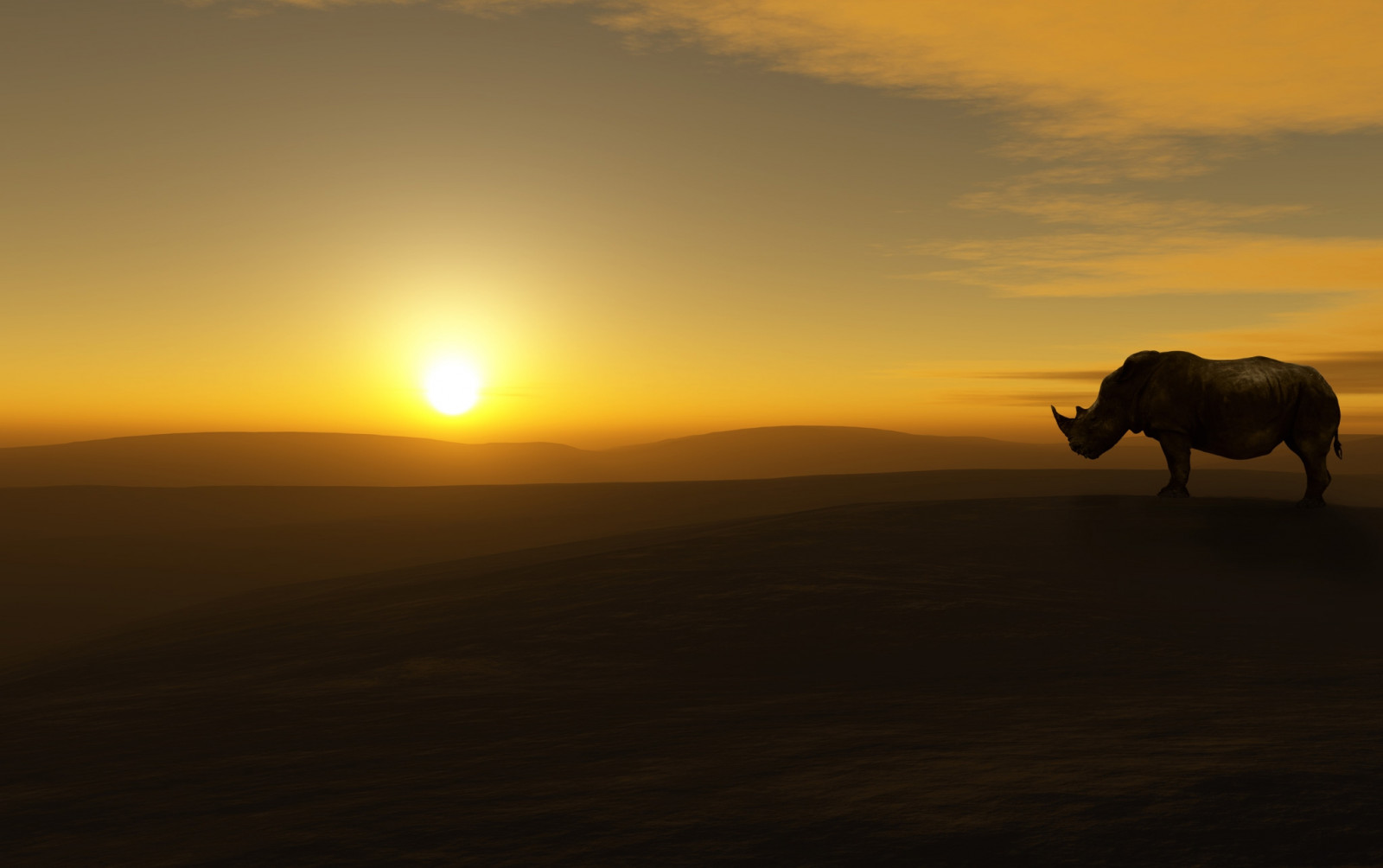 nosorožec, západ slunce, Příroda, nebe, krajina, silueta
