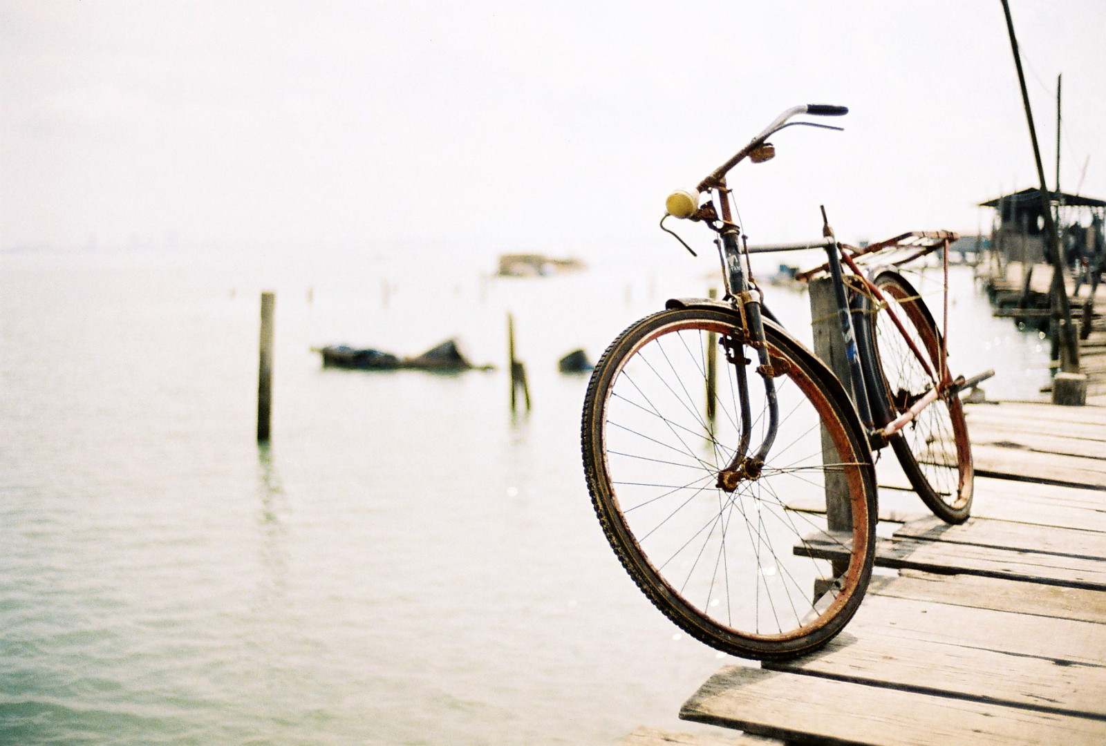 Wallpaper street, water, sky, bridge, cycling, film, penang