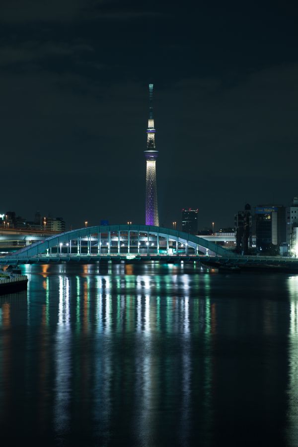 Japan,city,cityscape,night,architecture,sea