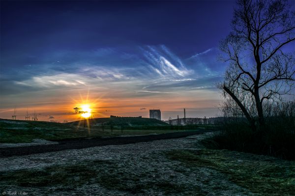 winter, sunset, nature, landscape, vinter, Nikon