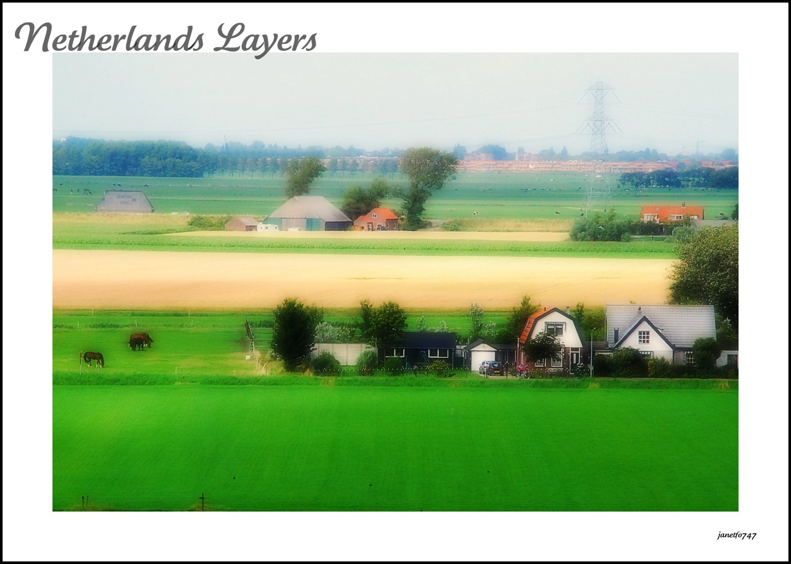 Fondos de pantalla : pradera, campo, ecosistema, llanura, pastar