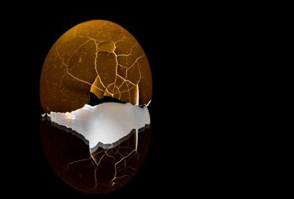black, macro, yellow, contrast, reflection, sphere