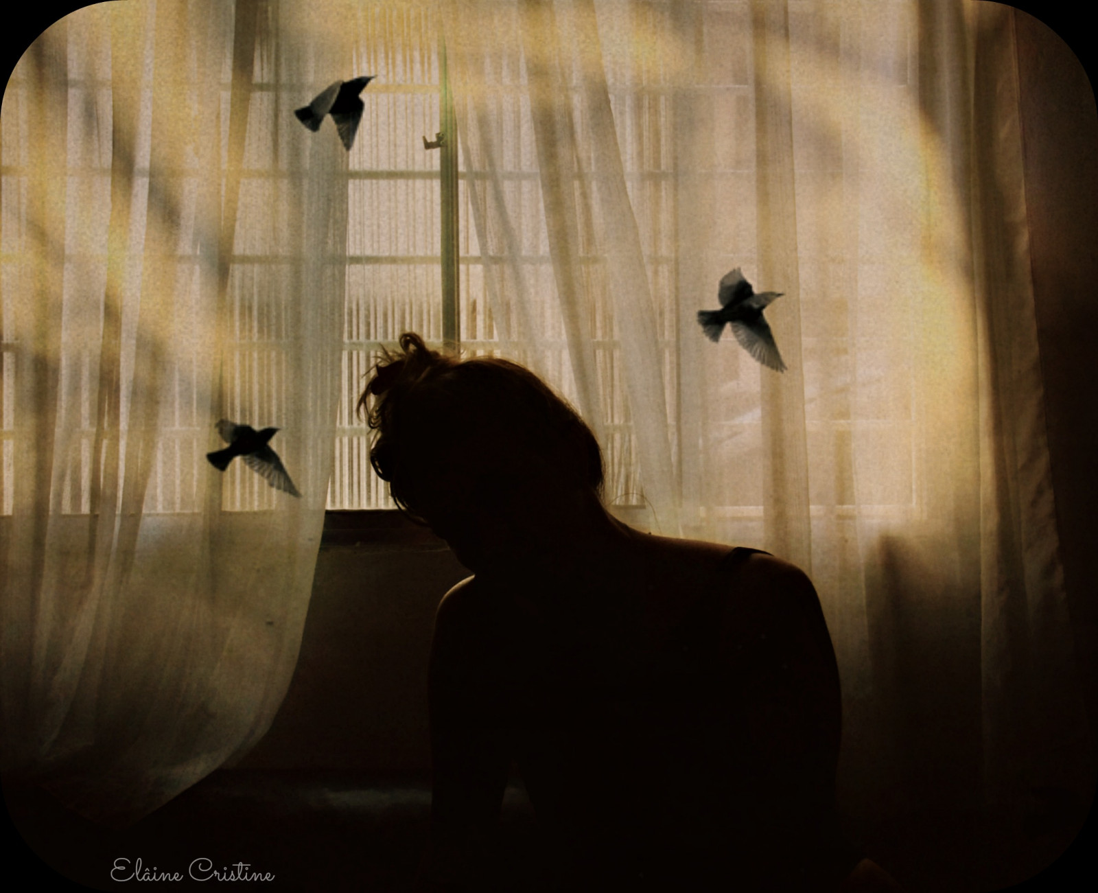 ptactvo, portrét, blondýnka, ruce, milovat, stín, fotografování, silueta, žlutý, textura, vlasy, fantazie, pastel, tóny, 2014, UMĚNÍ, světlo, barvy, flickr, dny, mě, ženský, amor, dia, film, tma, Na výšku, já, fotografia, autoportrét, mulher, silhueta, tempo, luz, textura, delicadeza, moje maličkost, Snímek obrazovky, cvaknutí, tun, detalhes, Pernambuco, Tonos, criatividade, delicada, poesia, m os, Cristine, inspiracion, feminina, ideia, criativa, ilumina, lomograpy, gex5, lainecristine