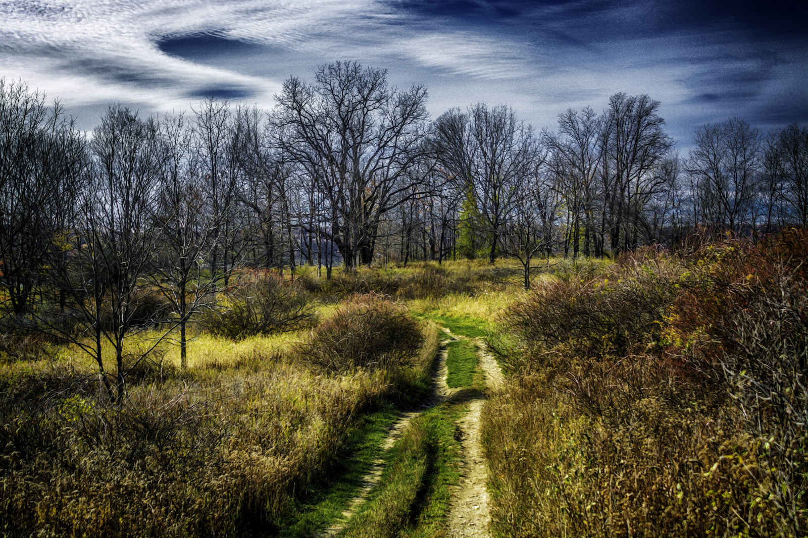 slunečnímu záření, stromy, krajina, les, podzim, kopec, Příroda, odraz, tráva, park, pole, ráno, divočina, cesta, mokřadní, mrak, strom, podzim, list, lučina, rostlina, sezóna, les, louka, platinumheartaward, zálesí, prérie, venkov, místo výskytu, přírodní prostředí, atmosférický jev, dřevina, geografický rys, ekosystém