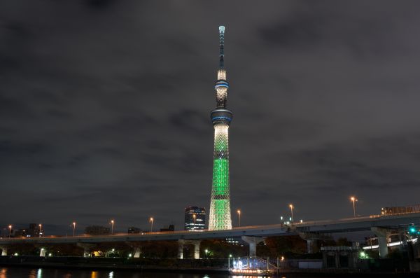 Japan,city,cityscape,night,architecture,reflection