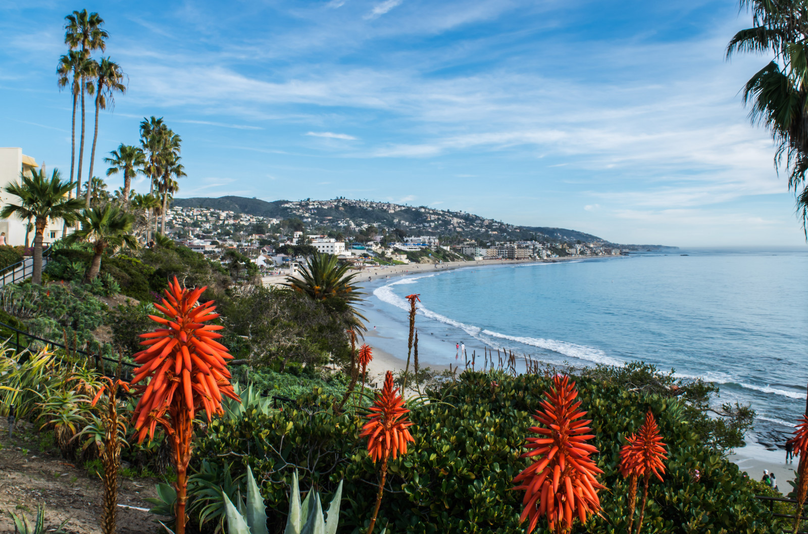 デスクトップ壁紙 カリフォルニア ヘイスラーパーク ラグナビー ニコン Nikond5300 太平洋 アロエ ビーチ 雲 ジオタグ付き 海洋 ヤシの木 砂 海景 海岸線 空 水 アメリカ 5455x3607 デスクトップ壁紙 Wallhere