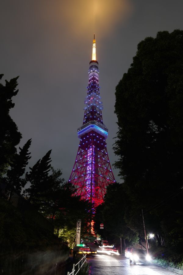 night,architecture,evening,tower,Christmas Tree,Christmas