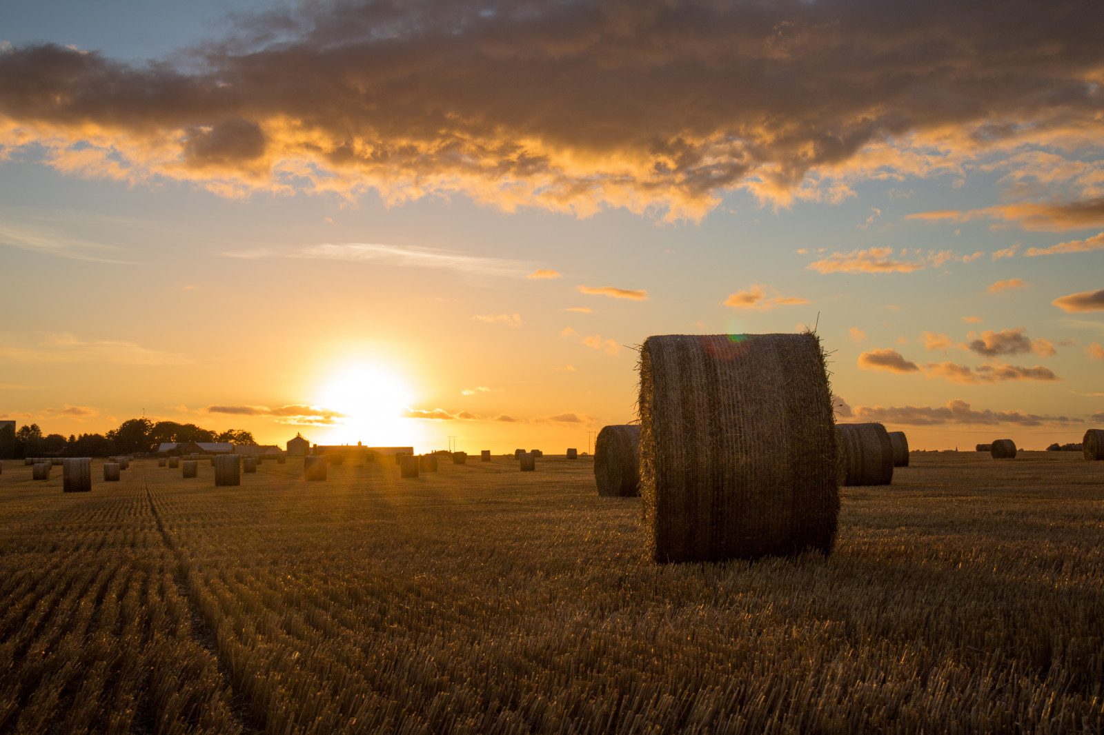 slunečnímu záření, krajina, západ slunce, nebe, pole, svítání, večer, ráno, slunce, horizont, soumrak, mrak, svítání, lučina, zlatá hodina, nebe, solnedg ng, moln, s dersl tt, landskap, exif modelu canoneos760d, geocountry, Kamera aby kánon, geocity, Model fotoaparátu canoneos760d, geostate, geolocation, EXIF čočka efs18200mmf3556is, exif aby kánon, EXIF isospeed 100, exif focallength 28mm, EXIF otvor 90, s dra od, halmrulle, gyllenetimmen, stéblo, rohlíky, strawrolls, zemědělství, prostý, prérie, oříznutí, venkov, tráva rodina