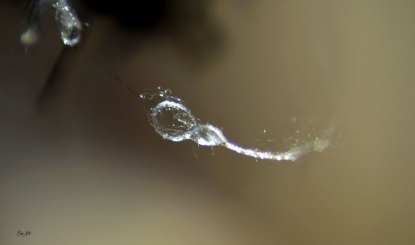 water, nature, photography, closeup, minimalism, artwork