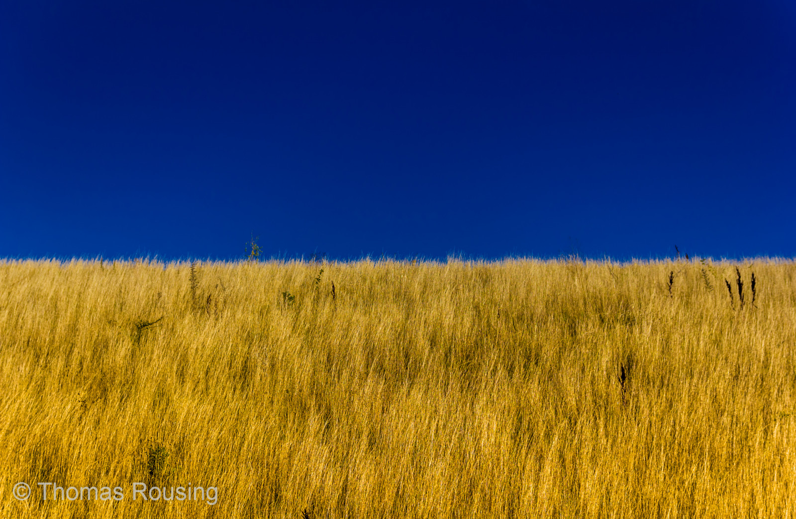 modrý, Červené, panoráma, zelená, oko, UMĚNÍ, Příroda, čáry, žlutý, horizontální, detailní, Kánon, Kodaň, tisk, Dánsko, design, umělecká díla, grafika, fotograf, fotograf, bonbón, kunst, hlavní město, Skandinavien, fotos, dk, dánština, redakční, Skandinávie, Danmark, kontrasty, Reklame, rozdělený, dansk, k benhavn, billede, fotografi, Whatliesbehind, denmak, Hovedstad, thomasrousing, wwwthomasrousingdk
