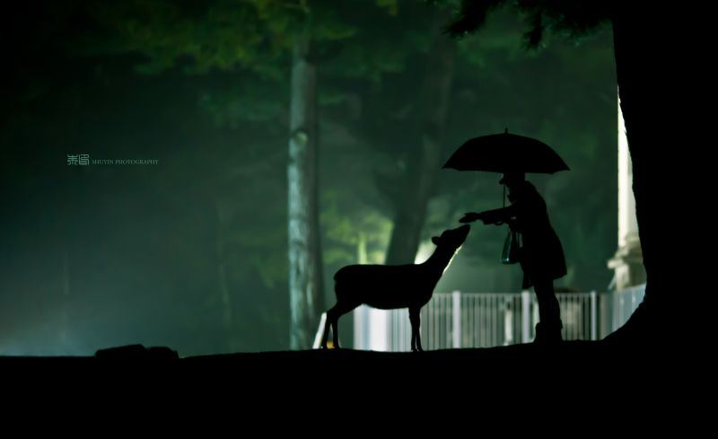 tma, jev, Snímek obrazovky, půlnoc, počítač tapeta, visual effects