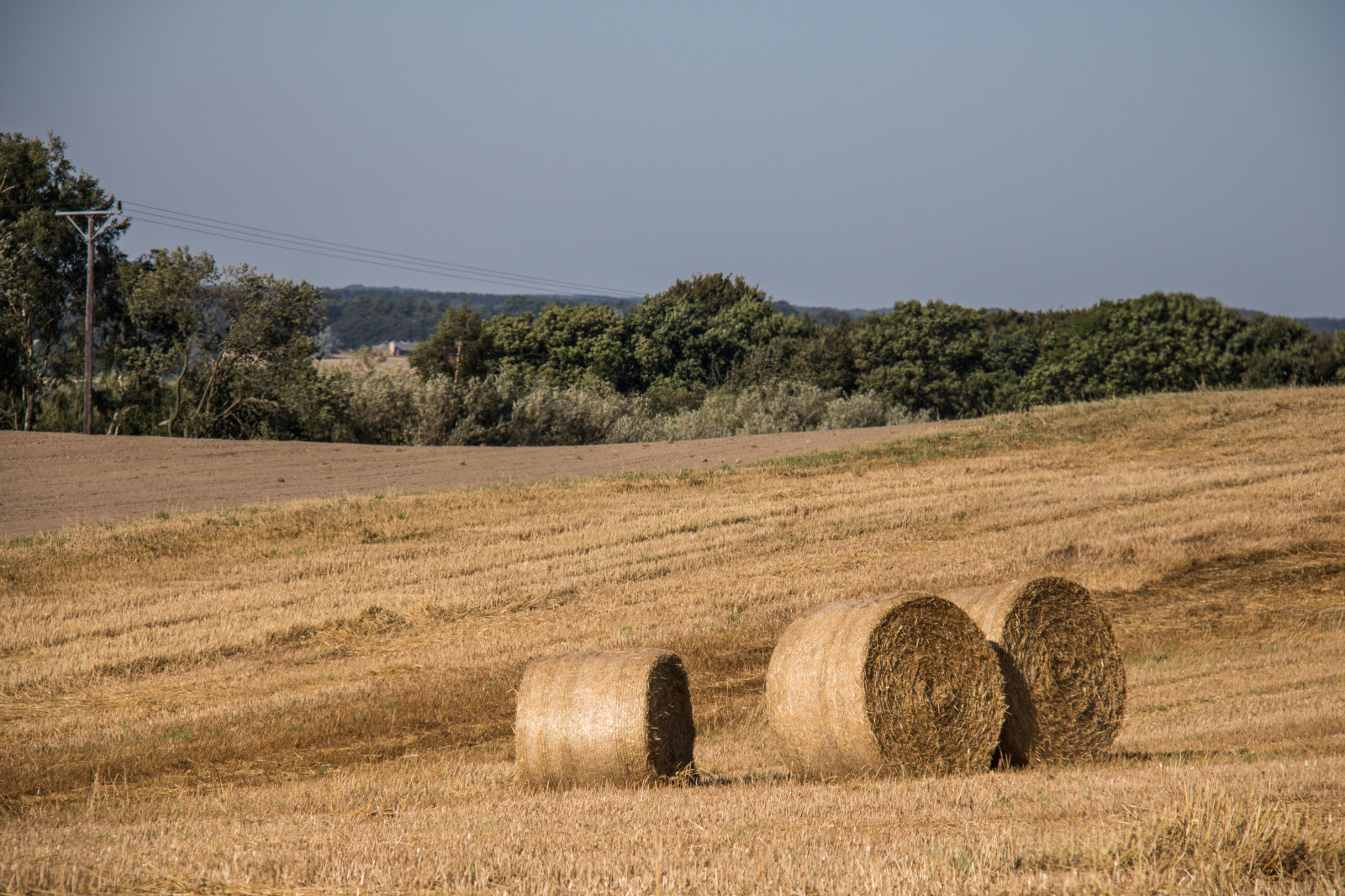 krajina, tráva, pole, hospodařit, sláma, seno, scenérie, lučina, rostlina, venkov, landsbygd, landskap, exif modelu canoneos760d, geocountry, Kamera aby kánon, geocity, Model fotoaparátu canoneos760d, geostate, geolocation, EXIF čočka efs18200mmf3556is, exif aby kánon, EXIF isospeed 100, EXIF otvor 80, exif focallength 135mm, stéblo, zemědělství, prostý, prérie, oříznutí, půda, venkov, tráva rodina