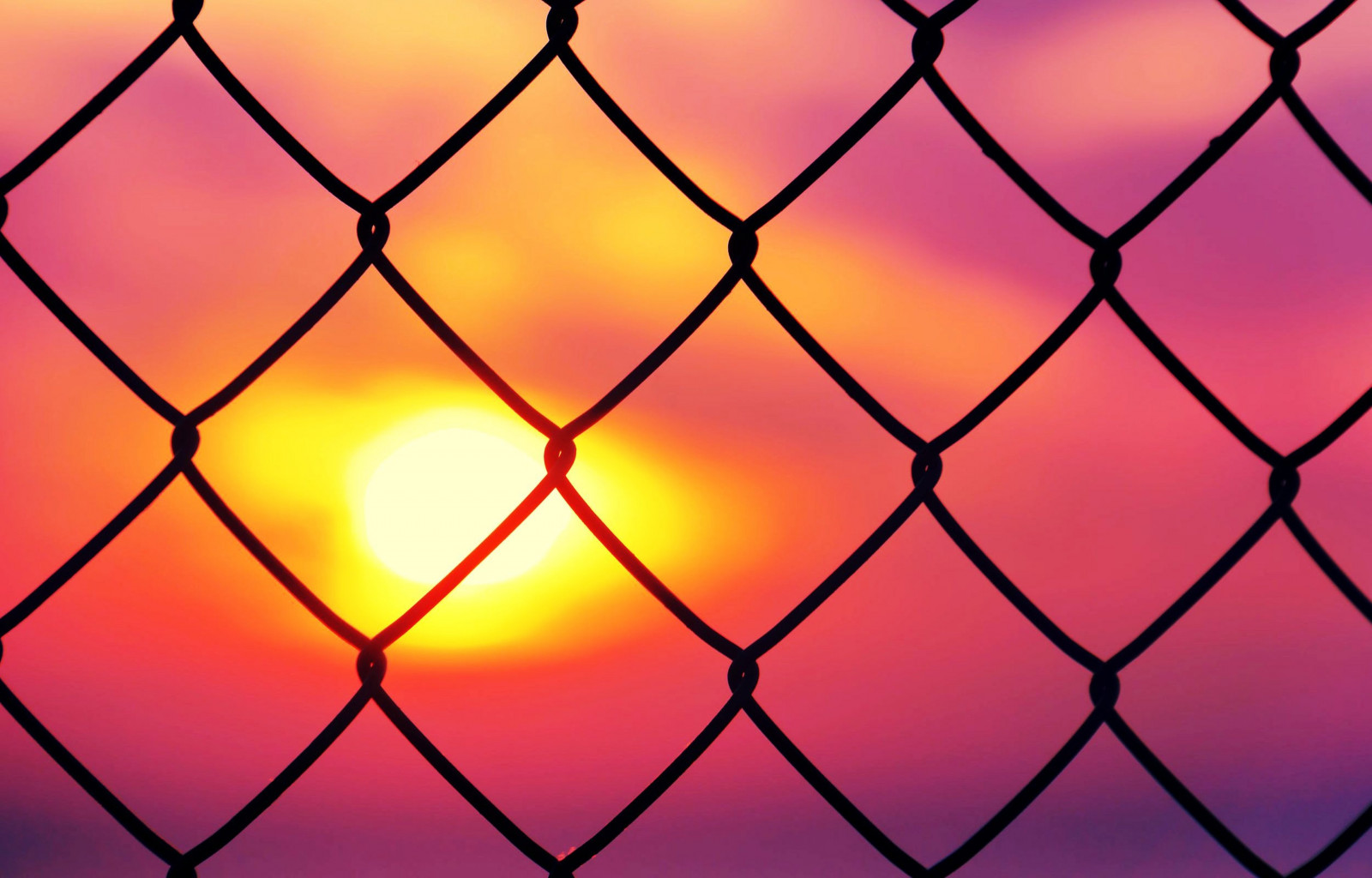Hintergrundbilder : 3840x2458 px, Farben, Zaun, Stimmung, Rosa
