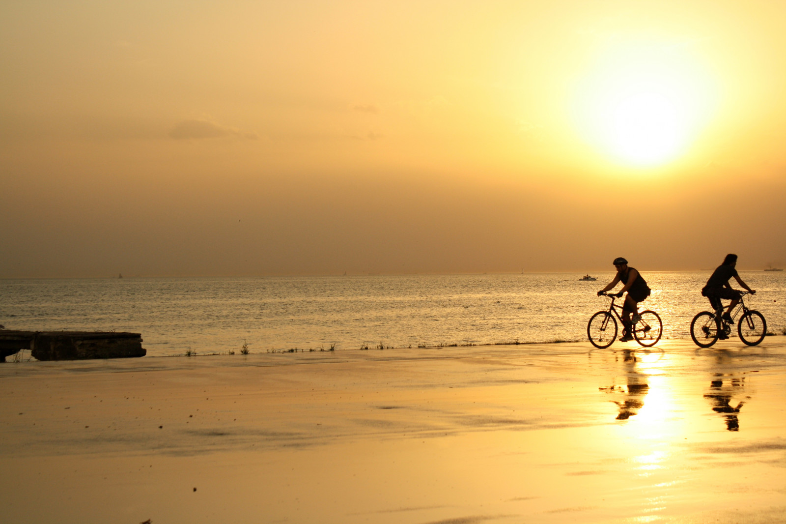 slunečnímu záření, západ slunce, moře, voda, pobřeží, písek, jízdní kolo, odraz, nebe, pláž, svítání, uklidnit, večer, ráno, pobřeží, slunce, horizont, letní, zlato, nosník, dovolená, světlo, oceán, muž, vlna, kolo, Yans ma, tělo z vody, Deniz, g ky z, a a, Gunes, gunbatimi, isik, G n, Huzme, Bisiklet, Alt nrengi