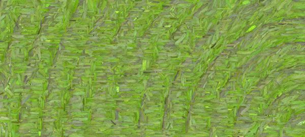 paint splash,acrylic,digital,pattern,gradient,abstract