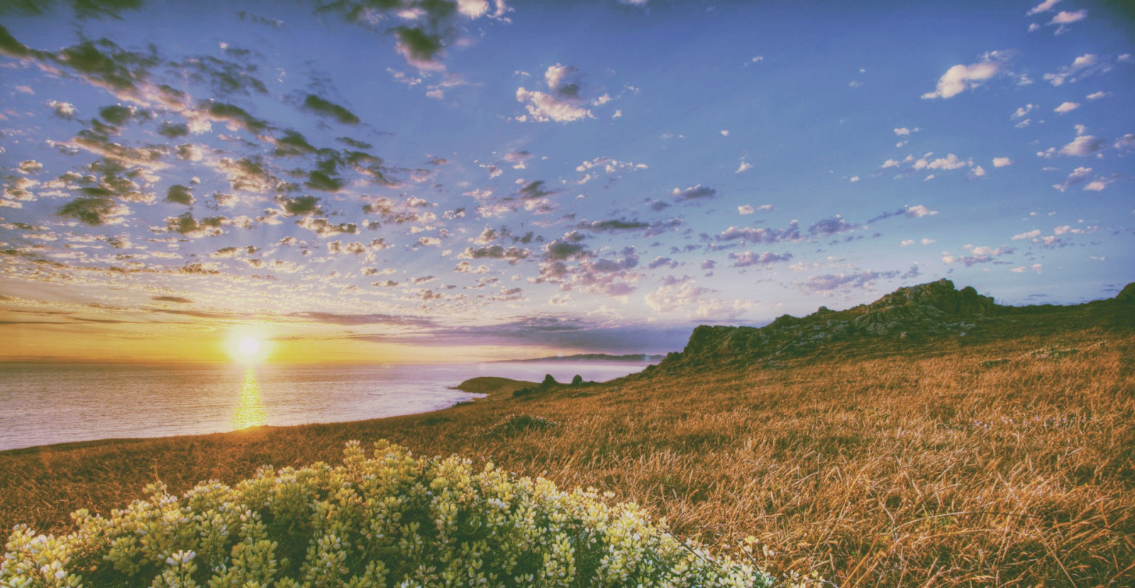 slunečnímu záření, krajina, západ slunce, moře, kopec, Příroda, pobřeží, tráva, nebe, pole, pláž, svítání, večer, ráno, pobřeží, slunce, horizont, plošina, step, mokřadní, mrak, květ, svítání, lučina, zemědělství, louka, prostý, prérie, bažina, venkov, místo výskytu, přírodní prostředí, počítač tapeta, ekosystém, tráva rodina