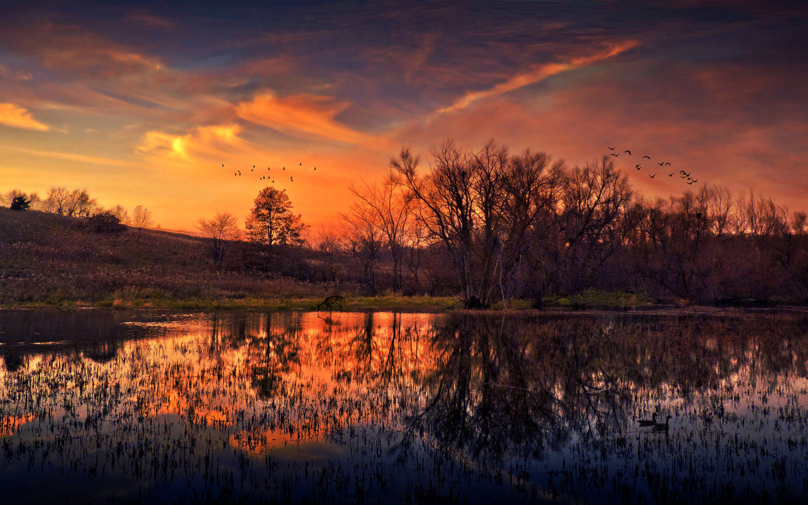reflexión, cielo, naturaleza, agua, Humedal, amanecer, atmósfera, Cielo rojo por la mañana, desierto, noche, puesta de sol, resplandor crepuscular, lago, oscuridad, horizonte, Mañana, amanecer, Banco, árbol, fenómeno, pantano, pantano, luz de sol, nube, depósito, paisaje, pantano, brazo pantanoso, Papel pintado de la computadora, césped, estanque, lago, prado, río, calma, Llanura de inundación, theatrical scenery