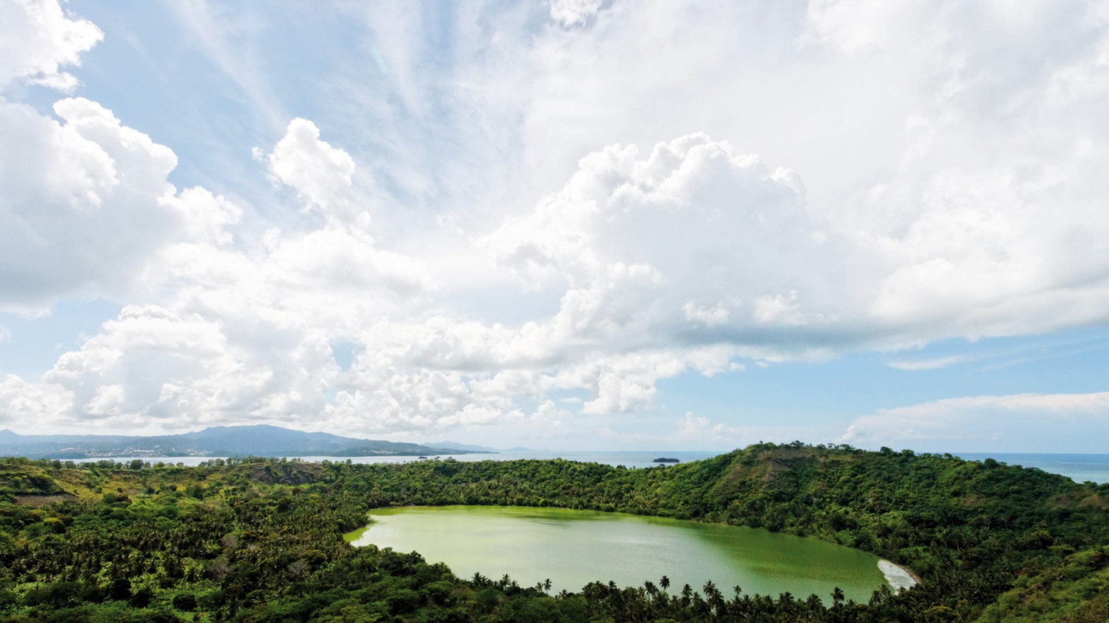 træer, landskab, Skov, hav, Bugt, bakke, sø, natur, himmel, skyer, bakker, kyst, Palmer, horisont, ø, regnskov, Sky, reservoir, geografisk funktion, sport mødested, økosystem