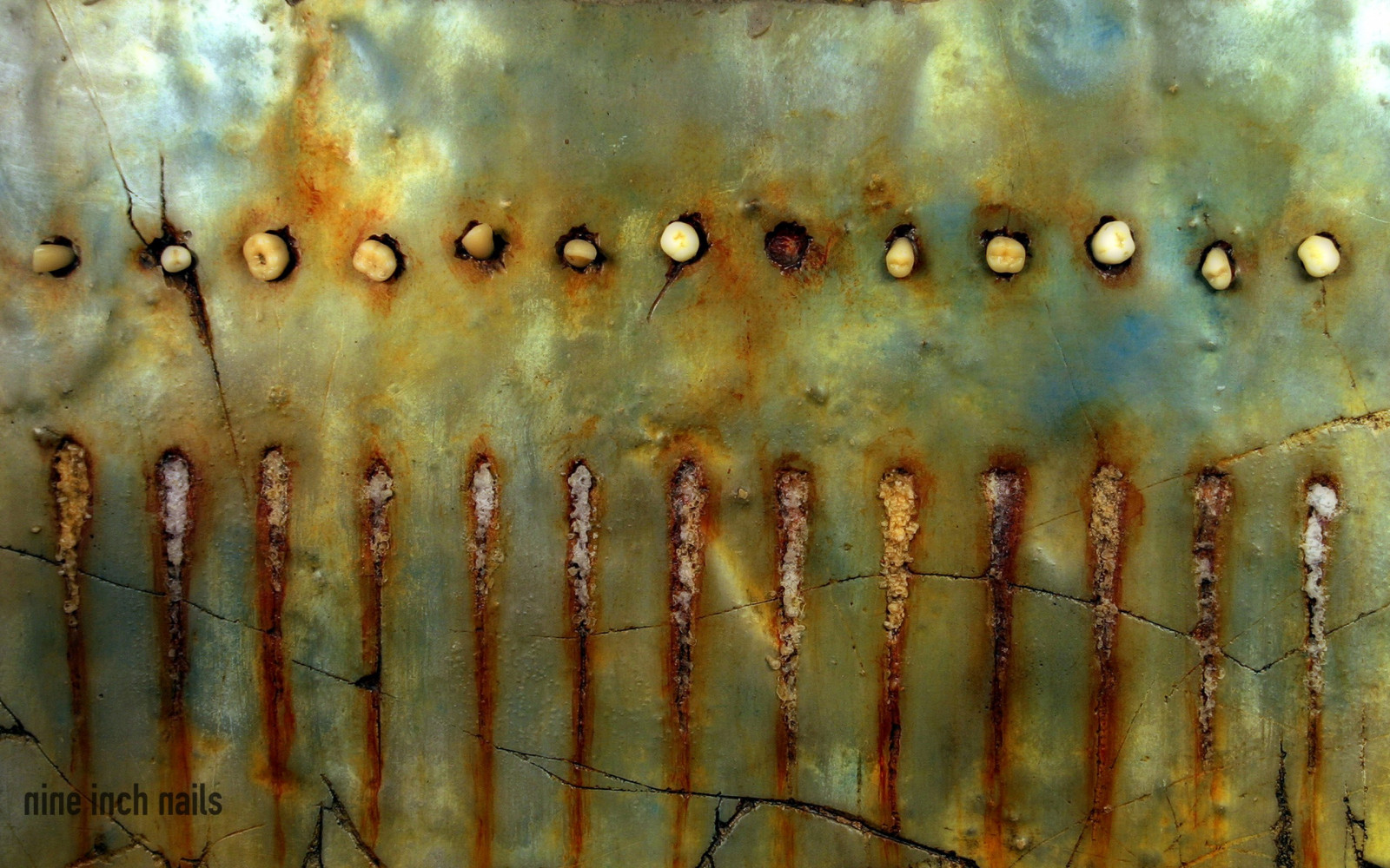 rez, textura, Nine Inch Nails, Sestupnou spirálu, 2560x1600 px, zblízka, makro fotografie, organismus